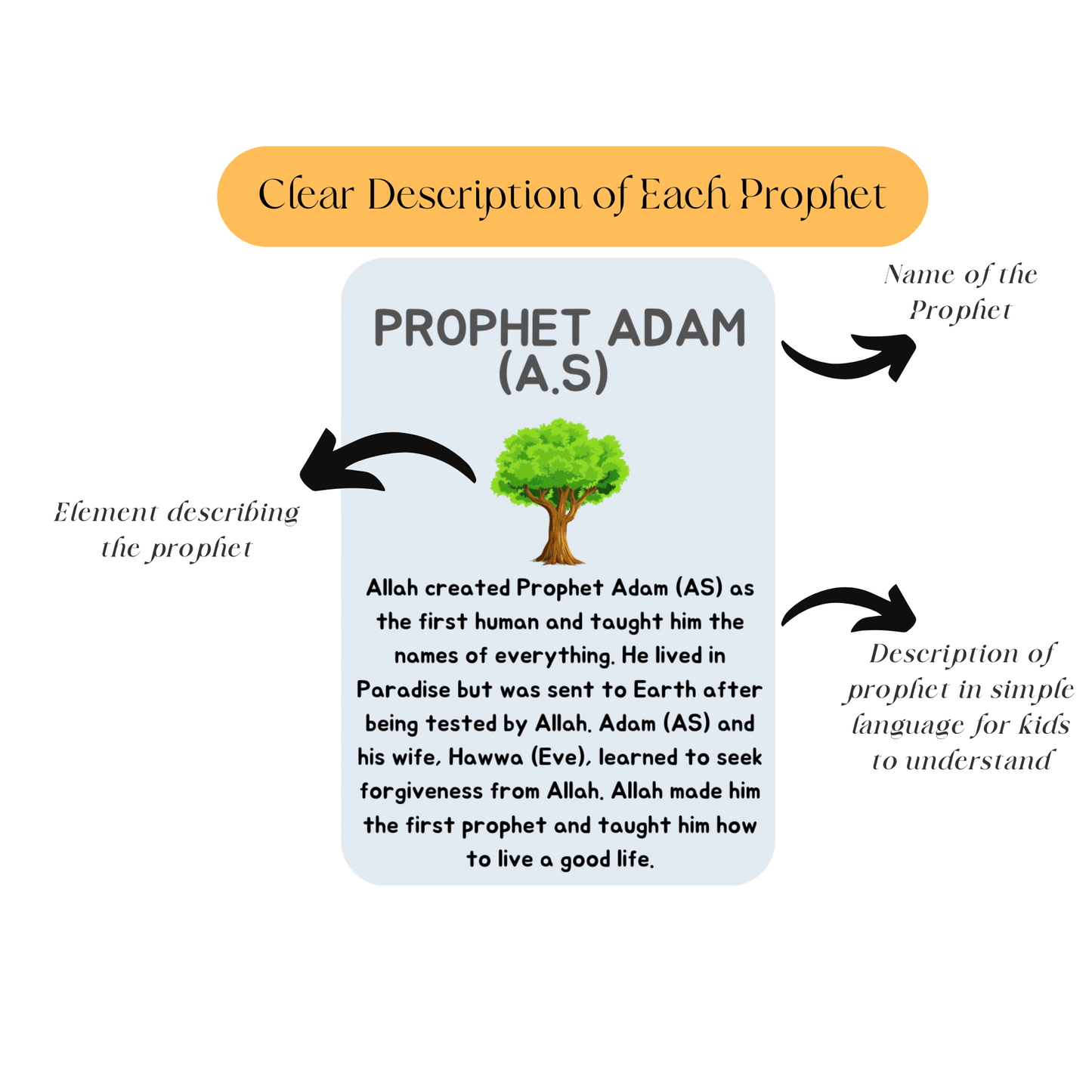 25 Prophets of Islam – Printable Flash Cards for Muslim Kids (PDF)| Islamic Educational Flash Cards